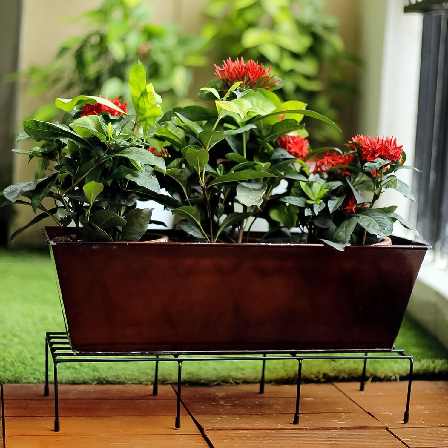 Metal Rectangle Flower Plant Stand For Balcony (6020 Cm  2 Pc Set) - rudrmart.in